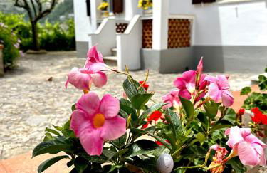 Simona House - Foto 2