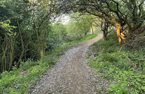 Puddleduck Cottage - Part of the The Bay Filey Holiday Village with pool, gym and direct beach access, pub, restaurant, tennis and meadows walks - Foto 31