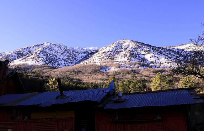 Excursion à Arteaga - Photo 6