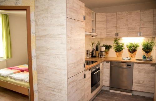 Ferienwohnungen "Am Mühlteich" - Photo 53