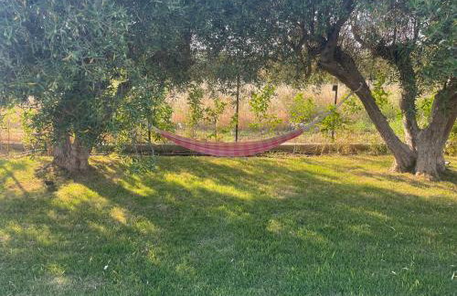 VILA KALIMERA private pool - Foto 15