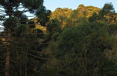 Casa Morango Gonçalves - Foto 20