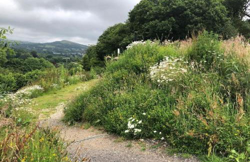 Rabbits ,1 bedroom, Dartmoor Hillside, Eco Hobbit style, Home - Foto 25