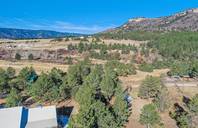 Tree Deer Blind - Foto 38