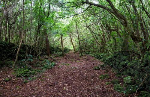 O Farrobo - Photo 33