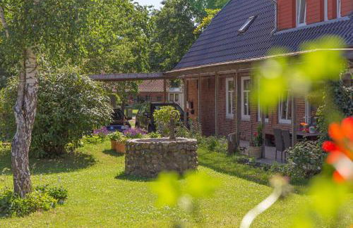 Kleiner Stern - Foto 12