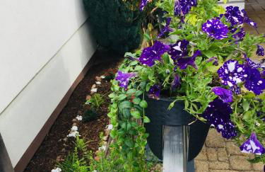 Luftkurort, Perle des Neckartals - Photo 59