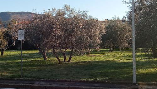 Residenza Relax Quinto Alto Sesto Fiorentino Firenze - Foto 3