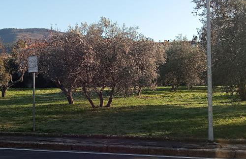 Residenza Relax Quinto Alto Sesto Fiorentino Firenze - Foto 3