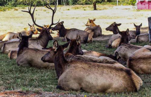 Viewcrest Retro Country Home - Photo 37