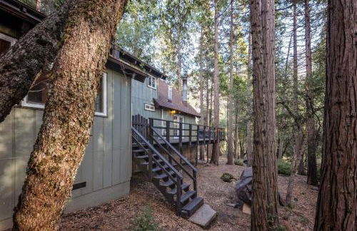 Trout River Cabin - Cozy Quiet Peaceful Retreat - Foto 22