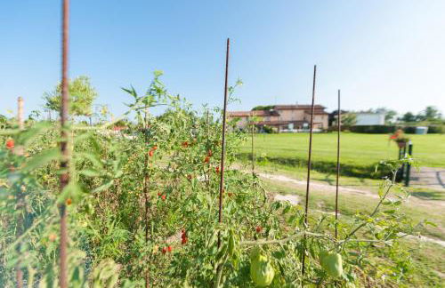 Agriturismo coda di gatto - Foto 10