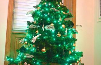 Railway apartment - Foto 6