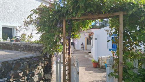 Nova Aurora - Foto 3, Garden view