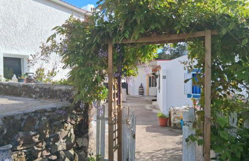 Nova Aurora - Foto 3