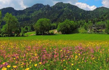 Streidlhof - Foto 23