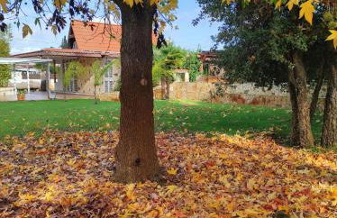 Villa con piscina Circeo - Sabaudia - Foto 21