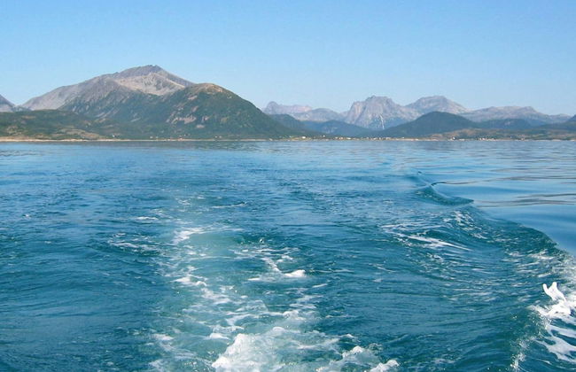 7 Person Holiday Home in Stonglandseidet - Foto 10