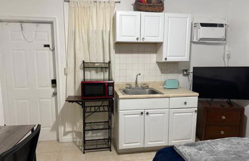 My Garden in Miami Florida - Photo 2