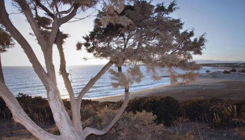 Junior paradise! - Foto 3