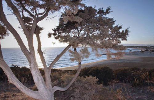 Junior paradise! - Foto 3