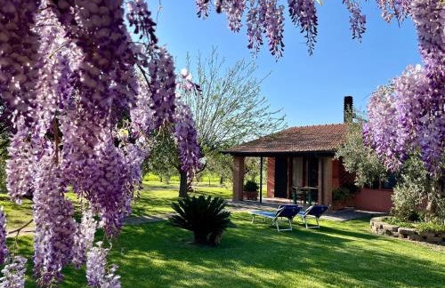 Agriturismo Valdo - Foto 25