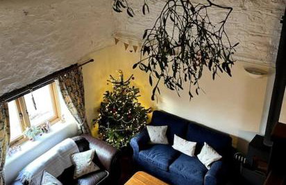 The Apple Press - Sweethay - Foto 49