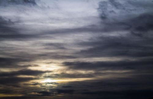 L'Olivier Fleurie Barjols - Foto 50