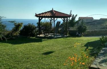 Κτήμα Κουρλή - Photo 10