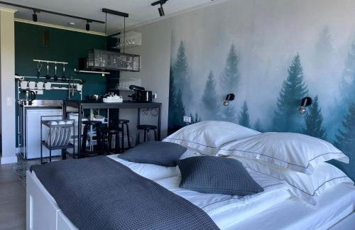 Schwarzwald Wohnung Kniebis - Foto 3