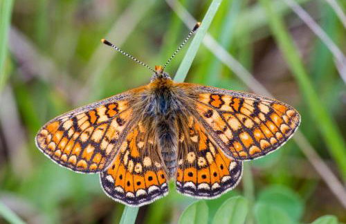 Casale Coccinella - Foto 20