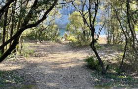Gite les Oliviers - Le Domaine du Viticulteur - St Maurice d Ibie - Foto 33