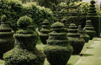 CRESSY HALL - Historic Grade II Listed Manor, Gorgeous Topiary Garden - Foto 64