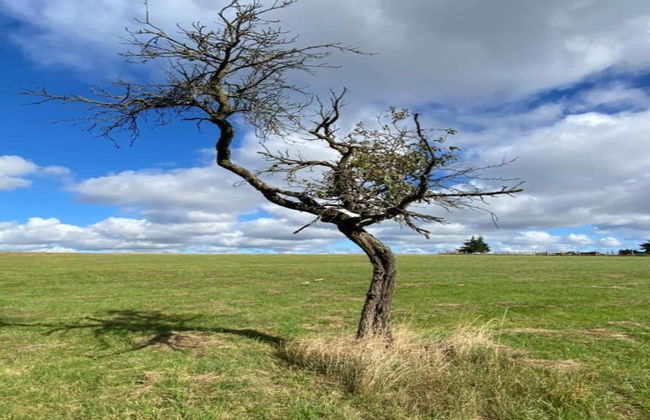 Hill-view Holiday Home in Dankerode Near Lake and Hiking - Foto 60