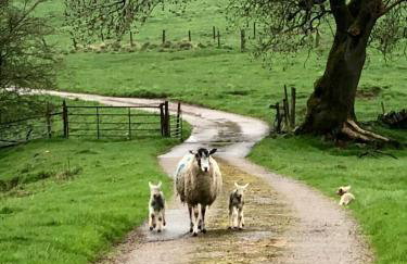 Bullclough loft - Photo 6