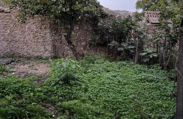 Sofia's Bella Vista Pagoi - Photo 53