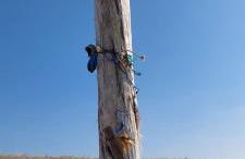 Détente à la mer - Foto 22