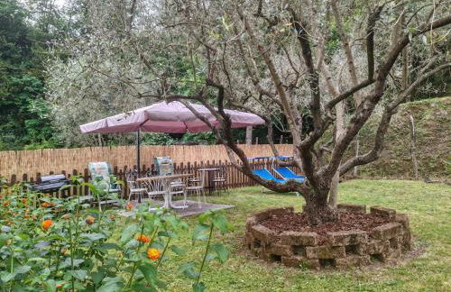 Oasi degli ulivi con piscina privata tra Versilia e Cinque Terre - Foto 28