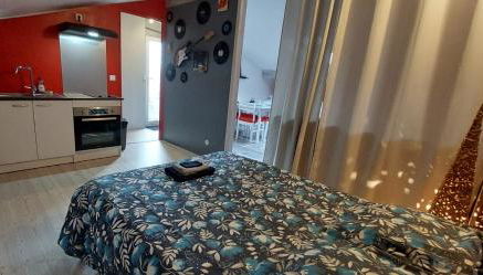 Appartement studio avec terrasse privatisée - Foto 3