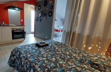 Appartement studio avec terrasse privatisée - Foto 3