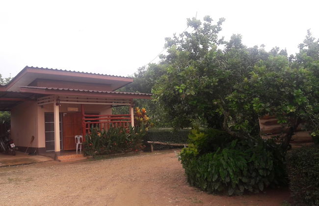 Ramidahost2 - Photo 22