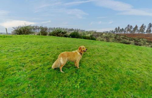 6 Bed in St. Andrews oc-89572 - Foto 29