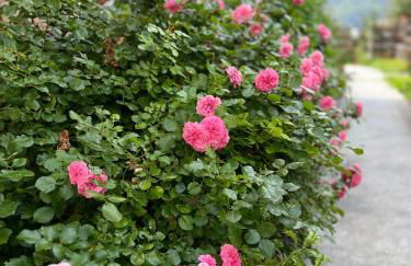 Condominio Le Dolomiti - Foto 16