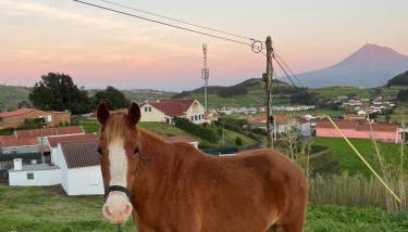 Quinta do Avô Brum - Foto 3