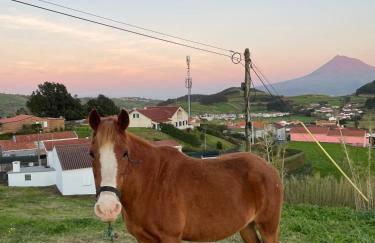 Quinta do Avô Brum - Foto 3