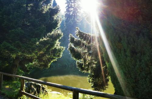 Miuti Residence - Foto 37