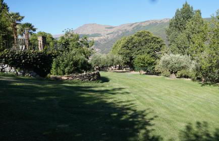 Cortijos Rey Fini - Foto 54