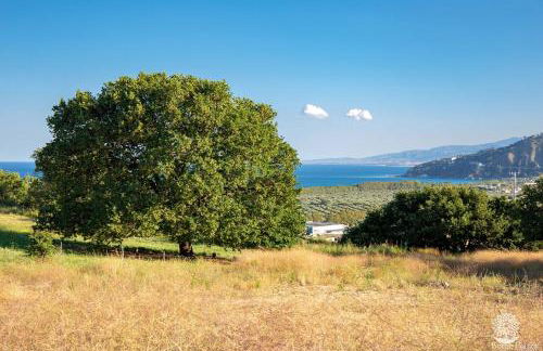 Borgo Piazza Apartments - Photo 49