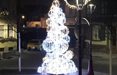 La Casetta en ALSACE - Foto 15