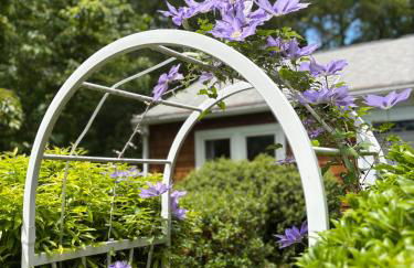 The Beach Gallery - Foto 29